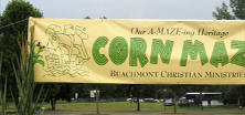 Banners